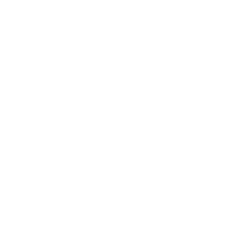 New York Jets